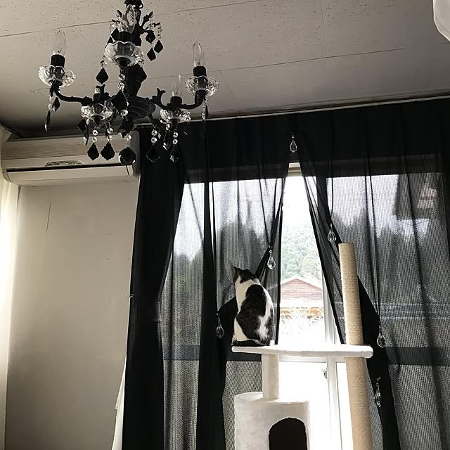Shihoさんの実例写真