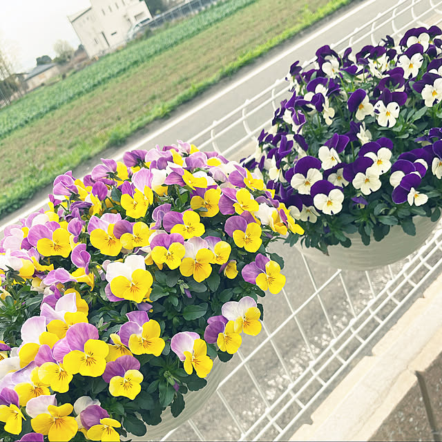 marinkoさんの実例写真