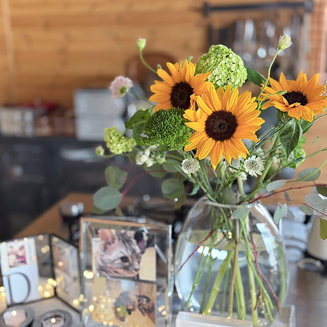 puffloveさんの部屋