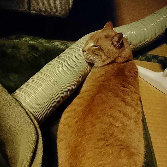 keiさんの実例写真