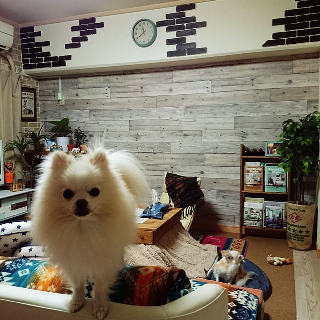 yukaさんの実例写真