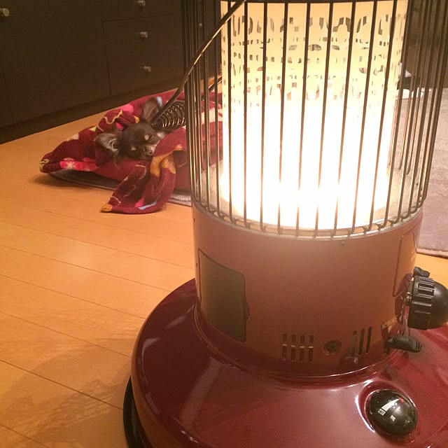 takaさんの実例写真