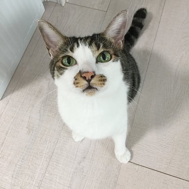 yuchiさんの実例写真