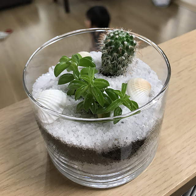 mochi_koさんの実例写真
