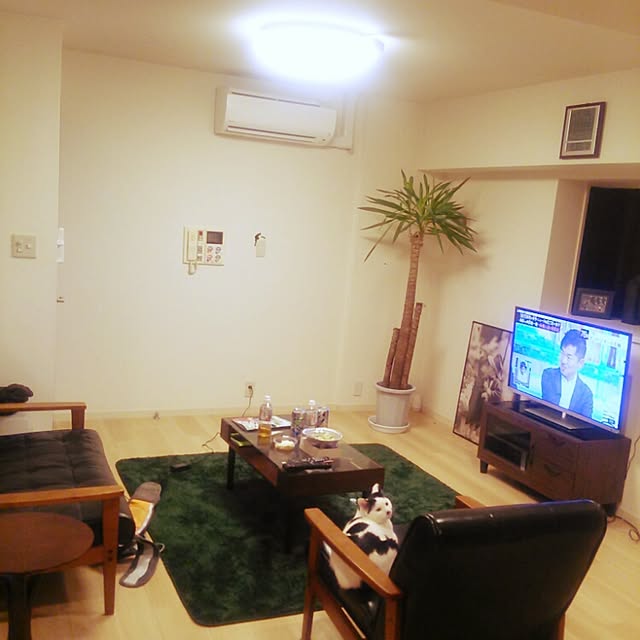 noguchiken0102さんの実例写真
