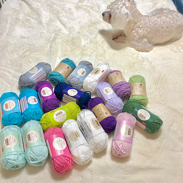suzyさんの実例写真