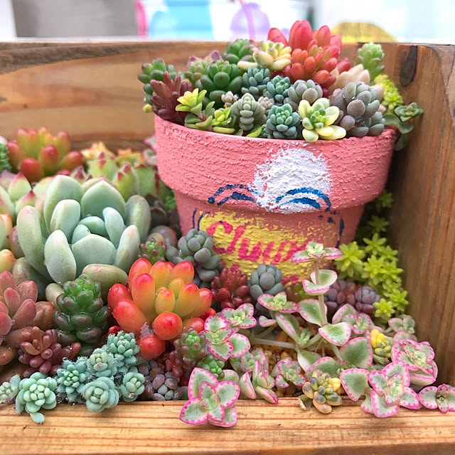minminさんの実例写真
