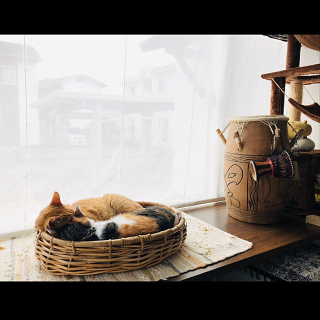 Maruさんの実例写真