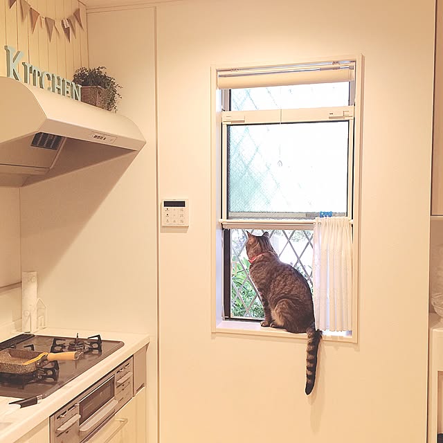 lovecatさんの実例写真