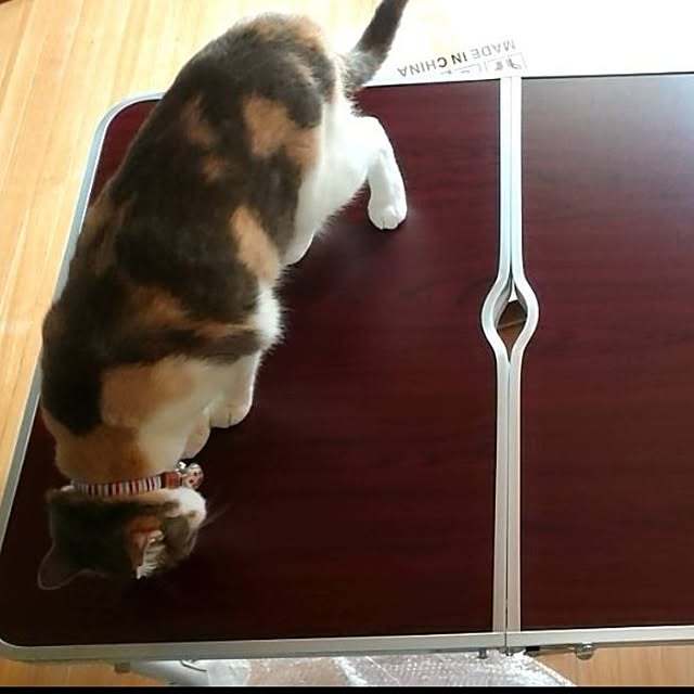 fukuさんの部屋