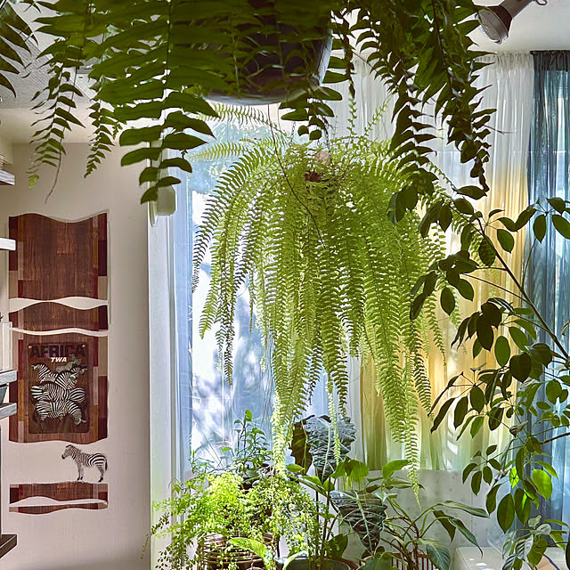 DAYONEさんの実例写真