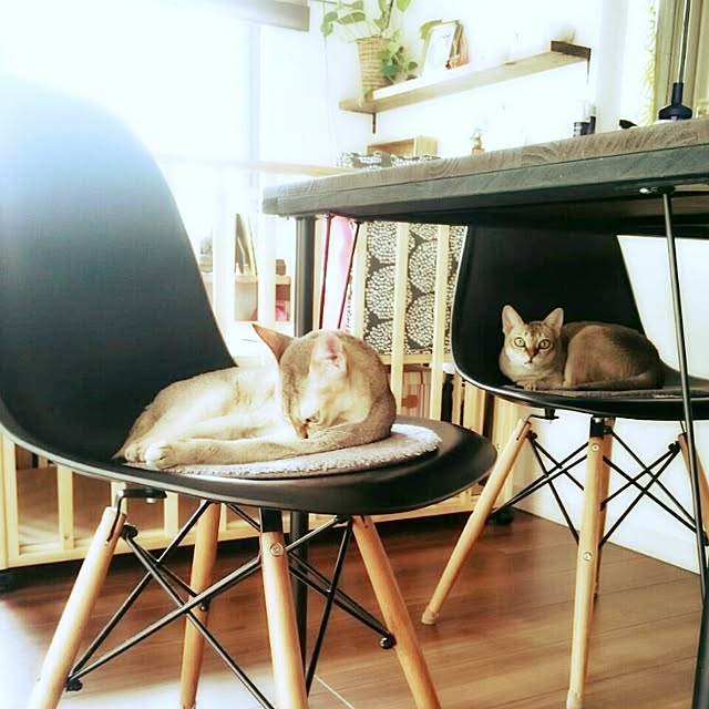 Jcさんの実例写真
