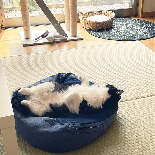 yu-さんの実例写真