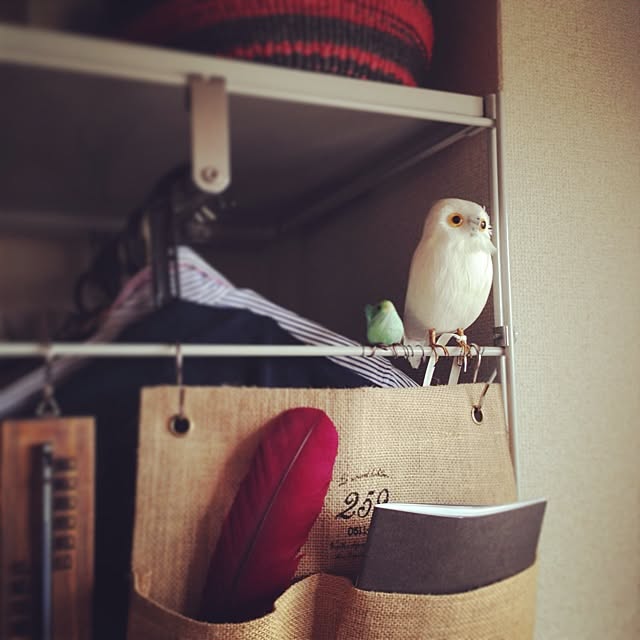 satomuさんの実例写真