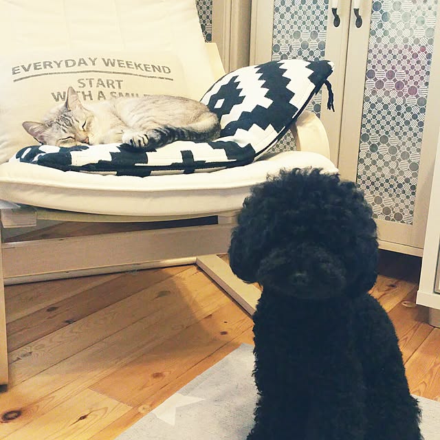 tomoppさんの実例写真