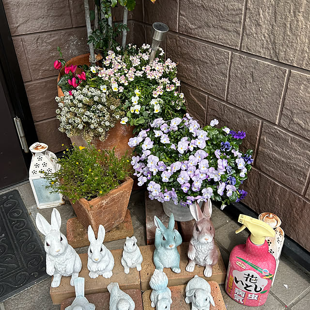 ritsukoさんの部屋