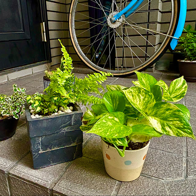 tututu0204さんの部屋