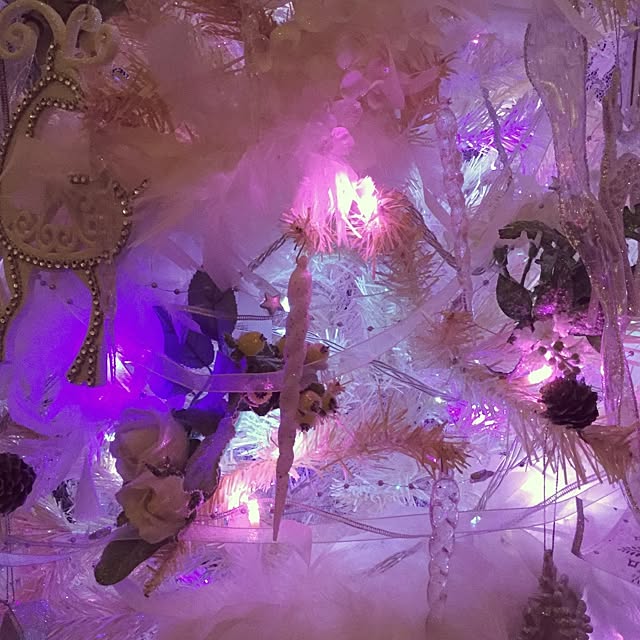 Dream21さんの実例写真