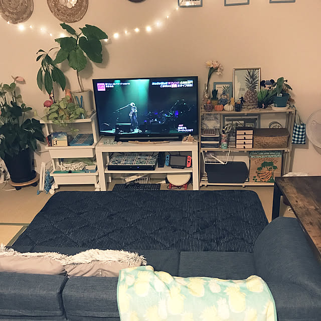 ariceさんの実例写真