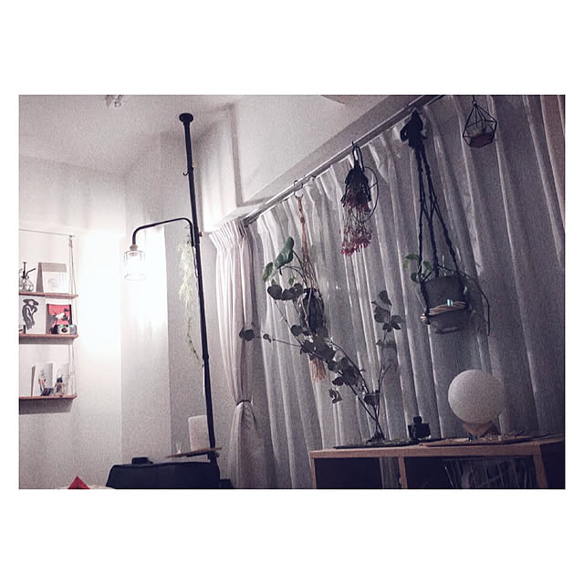 shiさんの実例写真