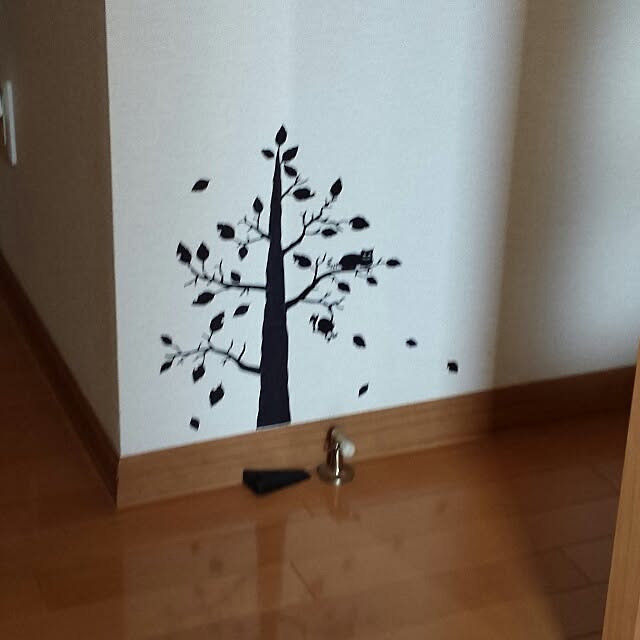 Shinobuさんの実例写真