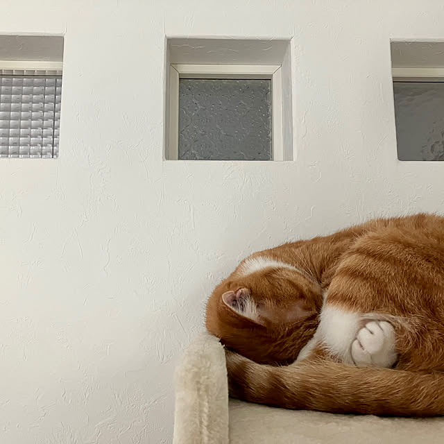 myuuさんの実例写真
