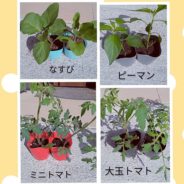 mocomocoさんの実例写真