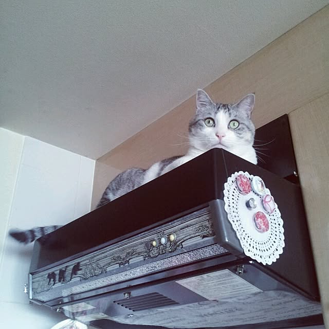 emmyyさんの実例写真