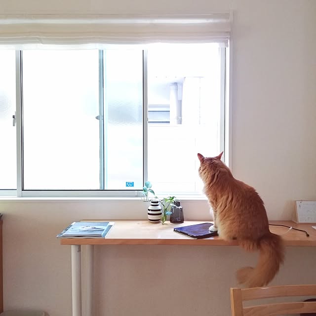 pinokoさんの実例写真