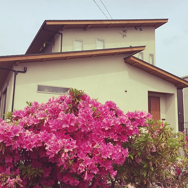 sachimanさんの実例写真