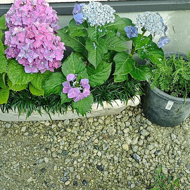 tさんの部屋