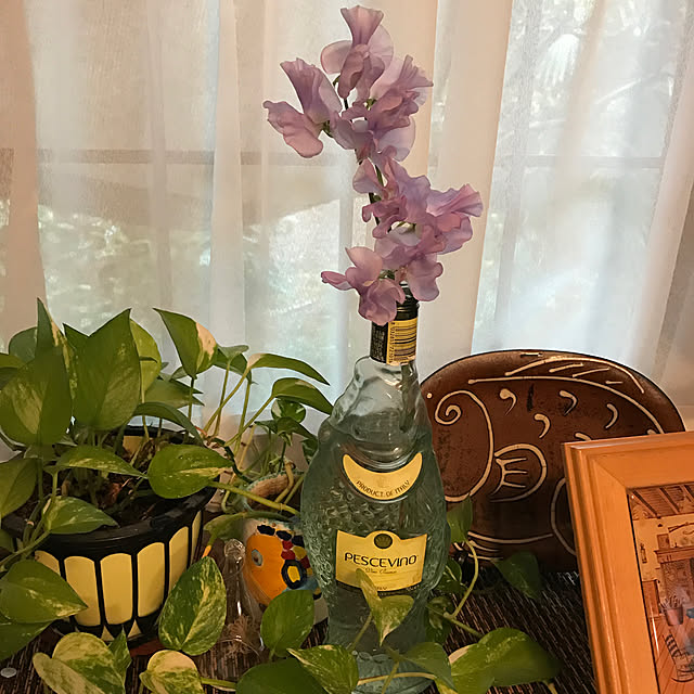 kinuさんの実例写真