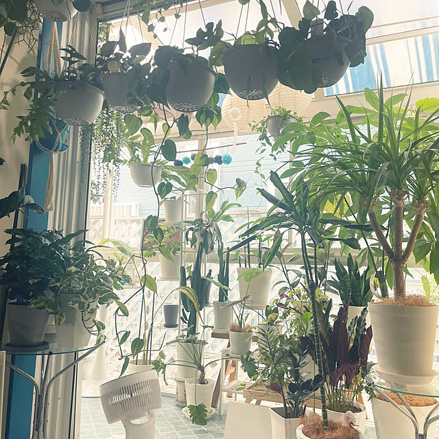 kanakoさんの部屋