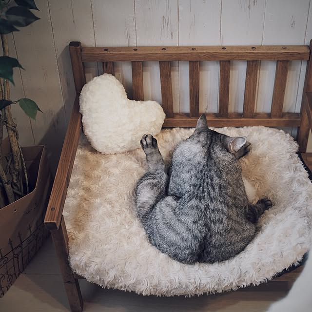 ineko_kさんの実例写真