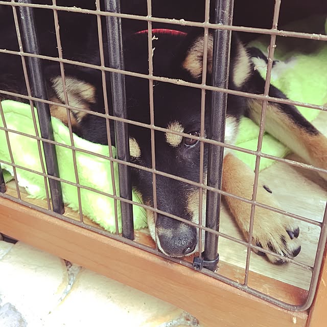 kazuさんの実例写真