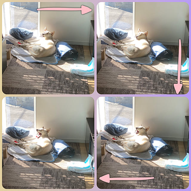 tanboさんの実例写真