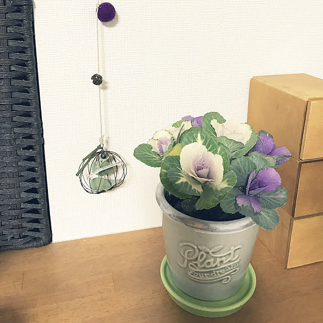 natsuさんの実例写真