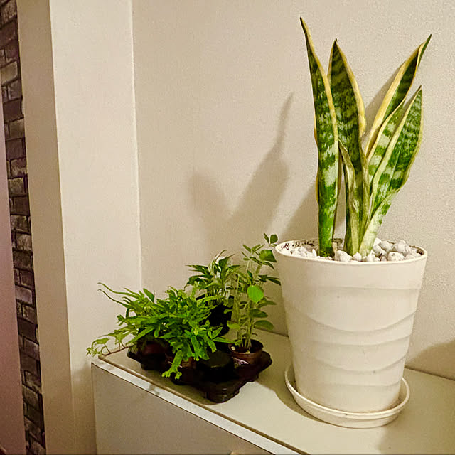 tututu0204さんの部屋