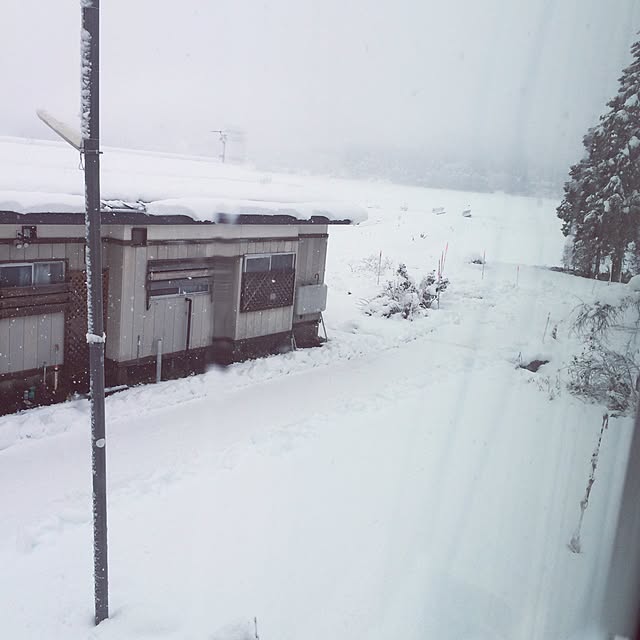 Chamさんの実例写真