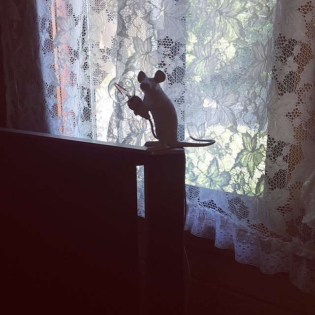 lさんの実例写真