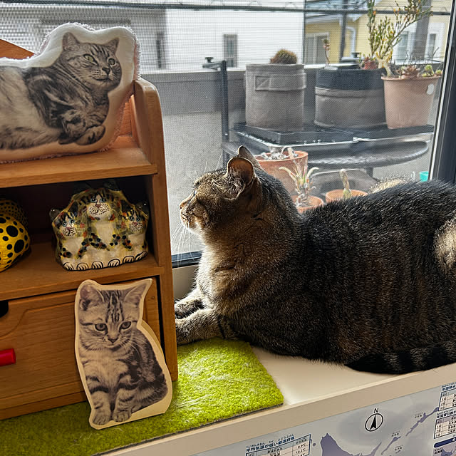 mikomaruさんの実例写真