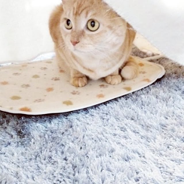 heart.emiemi57.whiteさんの部屋