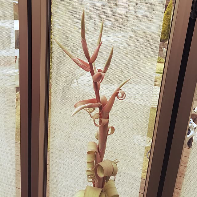 S-Tillandsiaさんの実例写真