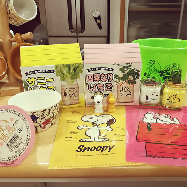 satosanさんの実例写真