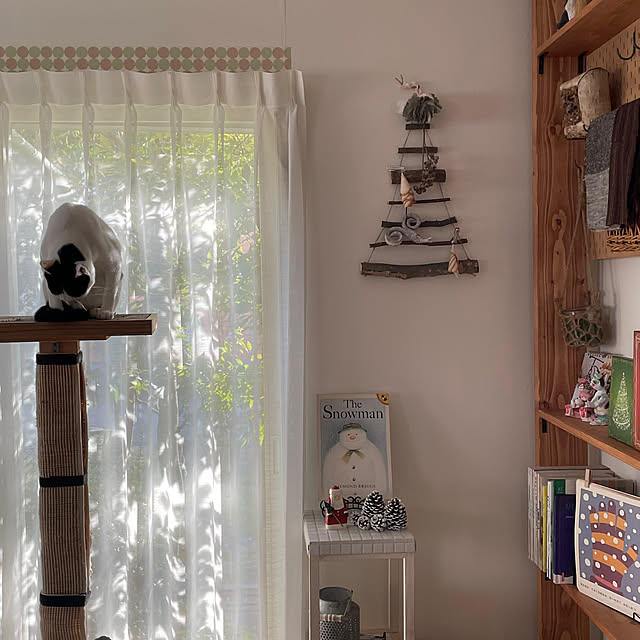 nobikoさんの部屋