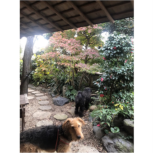 riettaさんの実例写真