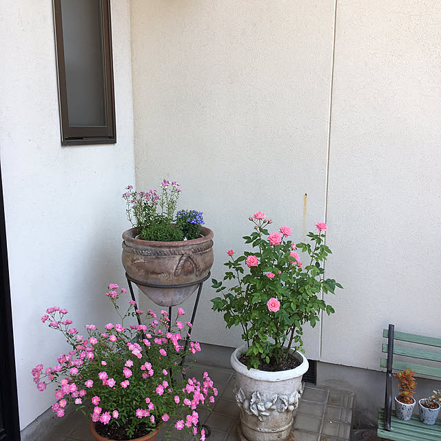 naonaomamさんの実例写真