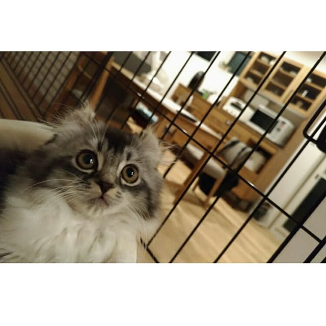 aki8112さんの実例写真