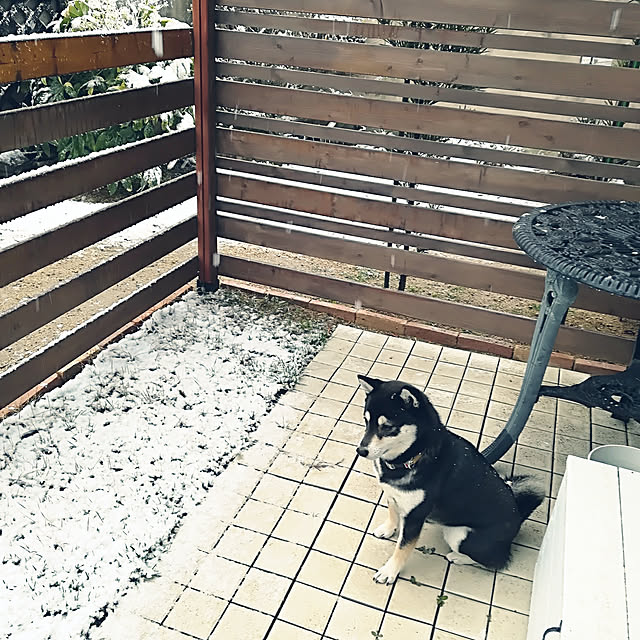 Yuzuさんの実例写真