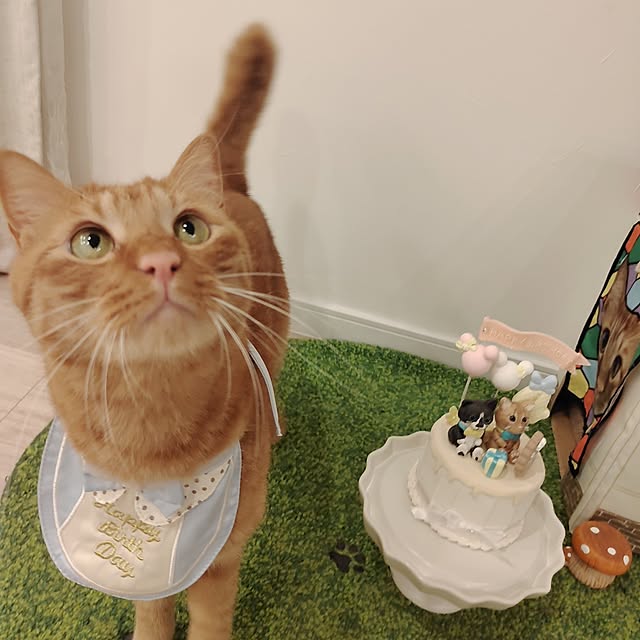 Marikoさんの部屋